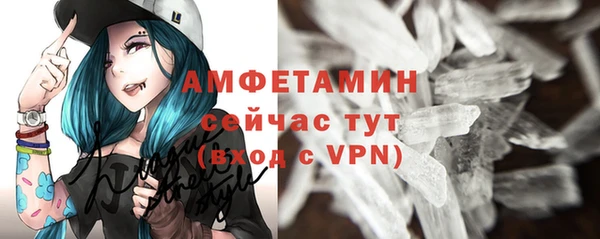 крисы Бородино