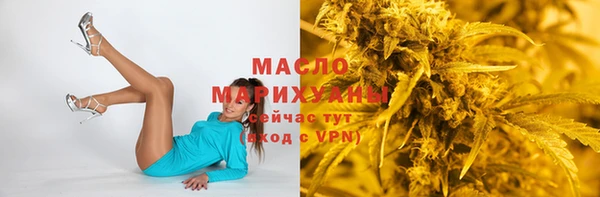 крисы Бородино