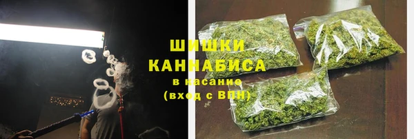 крисы Бородино
