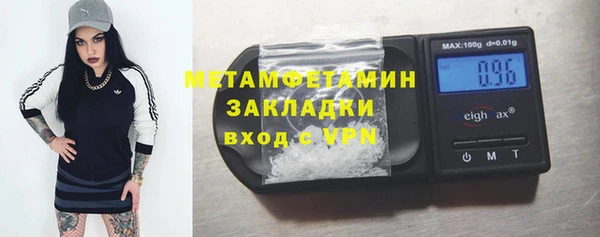 крисы Бородино