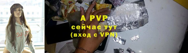 крисы Бородино