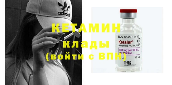крисы Бородино