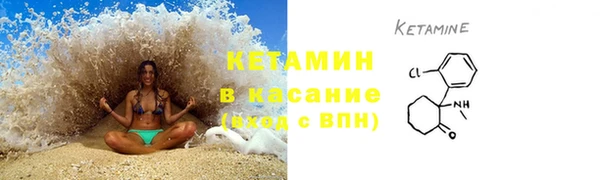 крисы Бородино