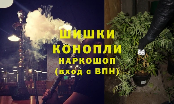 крисы Бородино