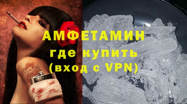 крисы Бородино