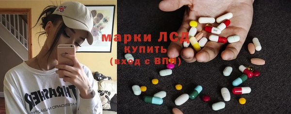 крисы Бородино