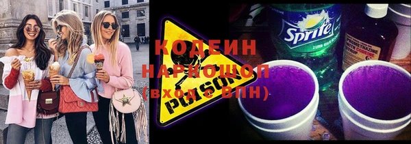 крисы Бородино