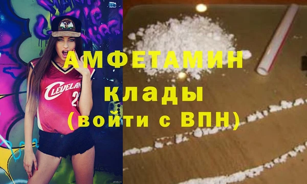 крисы Бородино