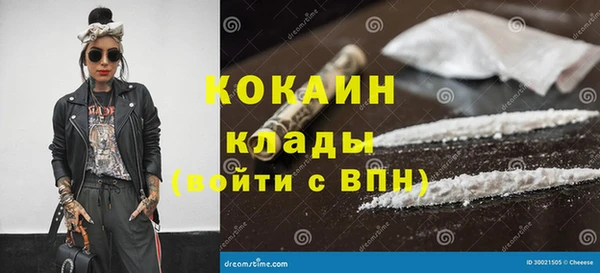 крисы Бородино